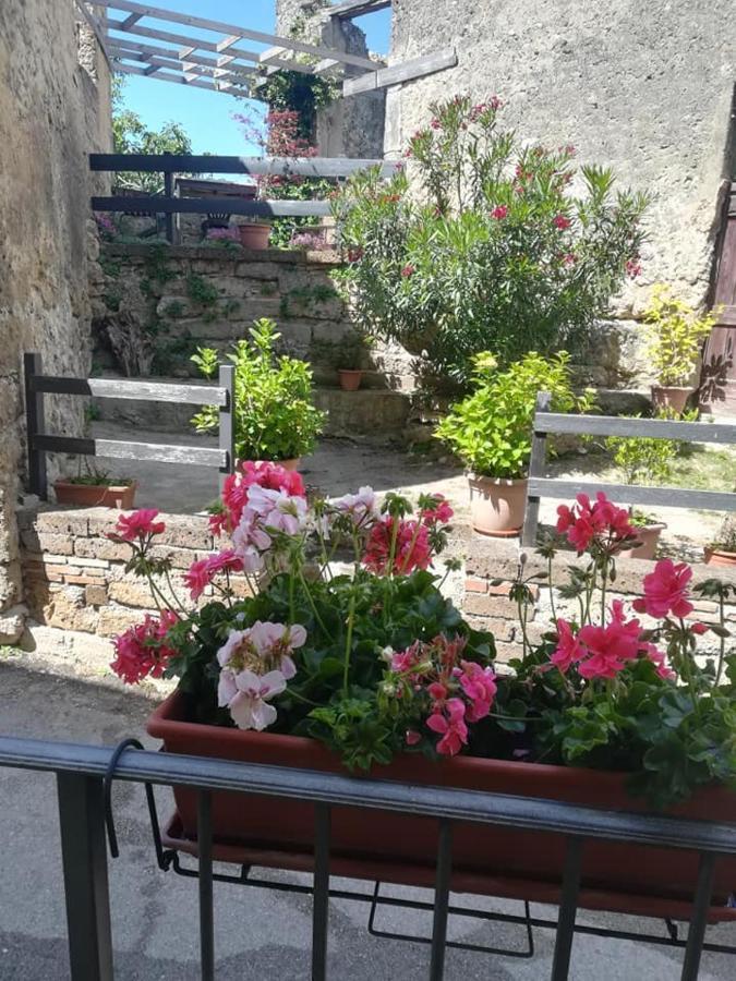 Monolocale Casa D'arte Ferienhaus