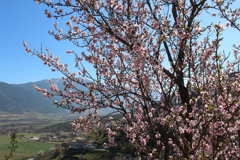 Monolocale Casa D'arte Tocco da Casauria